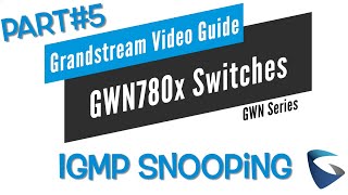 Video Guides  IGMP Snooping  GWN780x Series  Part 5 [upl. by Hsirrehc482]