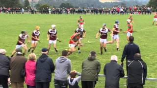 Wexford GAA TV I U21 Wexford Premier Hurling final from 2014 [upl. by New]