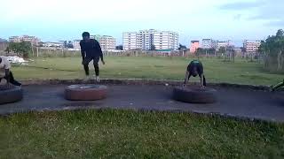 Tyre Fitness drills you should know fitness mmatraining [upl. by Anifur664]