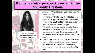 Paper 3 Feminism Radical Feminism [upl. by Tnarg940]