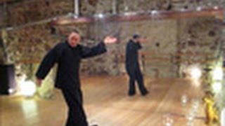 Taiji Qigong Shibashi 2 Set Qigong BadenBaden [upl. by Enyalaj201]