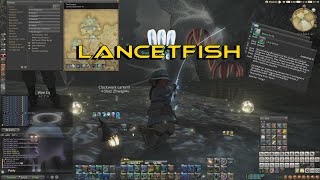 FFXIV  Lancetfish Caught [upl. by Eanrahc359]