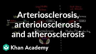 Arteriosclerosis arteriolosclerosis and atherosclerosis  Health amp Medicine  Khan Academy [upl. by Mahgirb626]