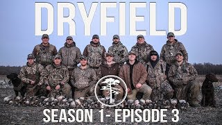 Duck Hunting The BEST Gadwall Hunt on YouTube [upl. by Refennej]