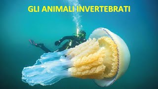 GLI ANIMALI INVERTEBRATI [upl. by Els]