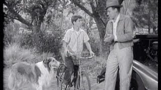 Lassie  Episode 75  quotThe Gossipquot  Season 3 10 11111956 [upl. by Adlare969]