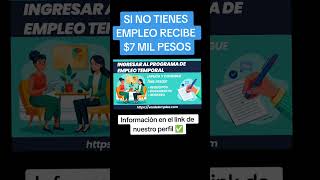 Apoyo económico si no tienes empleo [upl. by Anassor557]