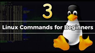 Mastering Linux Commands Tutorial 3 System Monitoring Networking amp Package Management [upl. by Nael]