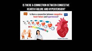 Is there a connection between congestive heart failure and hypertension hypertension heartfailure [upl. by Henrie]