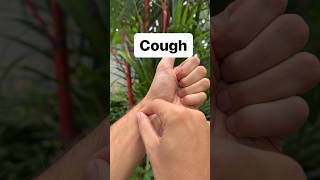 Chinese Medicine Cough Acupoint [upl. by Thia]