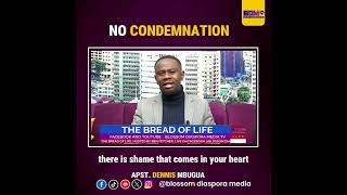 NO CONDEMNATION shorts bible short [upl. by Eirtemed]