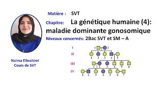 Cours SVT 2 Bac Biof La génétique humaine 4maladie dominante liée au gonosome X  2Bac SVT  SM [upl. by Oak]