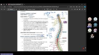 MEDULA ESPINAL ISAAC ALVARADO META MACRO III [upl. by Jacinto302]