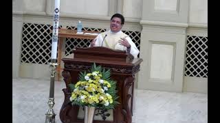 Father Jojo Homily 5th Sunday of Easter [upl. by Adelice]