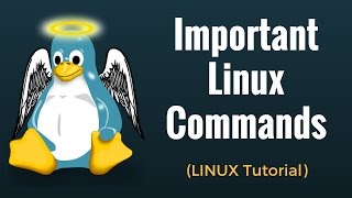 Important Linux Commands for Beginners Linux Tutorial [upl. by Ylrehs957]