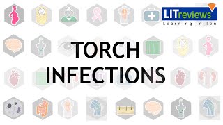 Torch Infections [upl. by Imhsar]