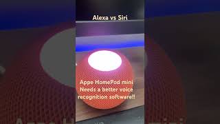 Echo Dot vs HomePod mini  Do you know ChatGPT [upl. by Ahselyt8]