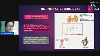 REGULACIÓN DE LOS METABOLISMOS HORMONAS [upl. by Onej502]