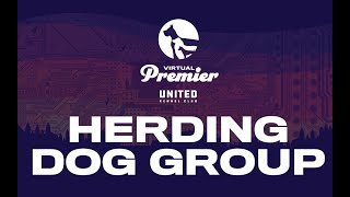 UKC Virtual Premier Total Dog Challenge Herding Dog Group [upl. by Newg]