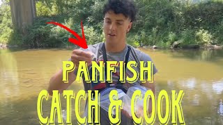 How To Catch and Cook Panfish  Kentucky Fishing at Troublesome Creek [upl. by Rasaec51]