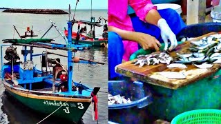 Early morning in a local fishing village near Chaam amp Hua Hin Beach  Phetchaburi travel [upl. by Idnat]