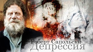 Роберт Сапольски — Депрессия Vert Dider [upl. by Koehler]