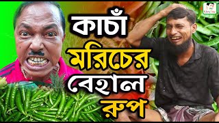 কাঁচা মরিচের বেহাল রুপ । kasa moriser behal rup2024 [upl. by Lethia707]