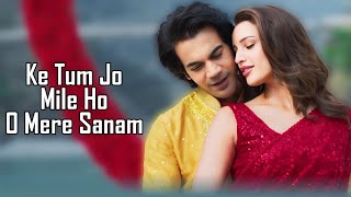 Tum Jo Mile Ho LYRICS  Vishal Mishra  SachinJigar  V V K W W V  Rajkumar Rao  Tripti Dimri [upl. by Ratep390]