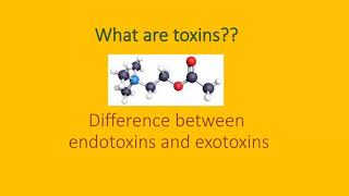 Toxins difference between endotoxins and exotoxins [upl. by Anizor51]