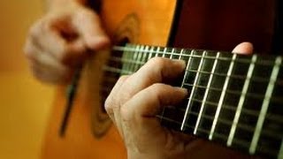 Las Partes De La Guitarra Clásica o Criolla Aprender Como Tocar Guitarra Clásica TCDG [upl. by Dibri540]