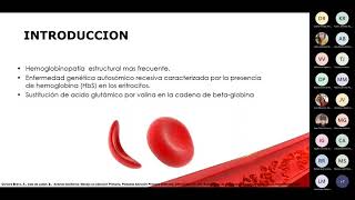 Anemia de Celulas Falciformes [upl. by Rumit763]