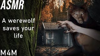 ASMR M4M  A werewolf saves your life [upl. by Ophelia159]