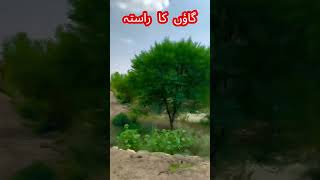 Gaoon Janay Ka Rasstaa shorts village villagelife [upl. by Zeus347]