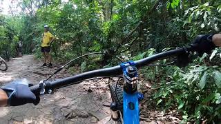 Marin Bobcat Trail 5 at Chestnut North  Bukit Timah MTB trail [upl. by Sanjiv]