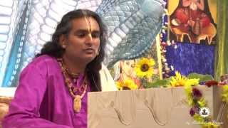 Shreemad Bhagavad Gita Verse 246  Sri Swami Vishwananda [upl. by Noella77]