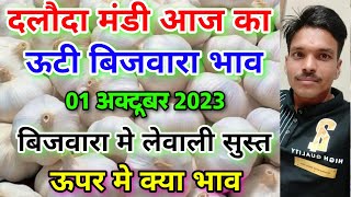 दलौदा मंडी 01 अक्टूबर 2023 का ऊटी बिजवारा लहसुन का भाव ooty bijvara garlic rateaaj ka bijvara bhav [upl. by Weissmann86]