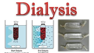 Protein purification  protein dialysis [upl. by Ahsatan]