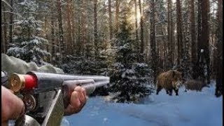 Охота на дикого кабана Красивый момент  wild boar hunting 2017 [upl. by Ajar]