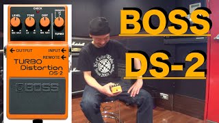 カートコバーン、ジョン フルシアンテらも使うBOSS「 DS2 TURBO Distortion」を弾かせていただきました！ [upl. by Greabe860]