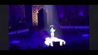 Cher…In Concert Las Vegas2017HD [upl. by Rossy696]