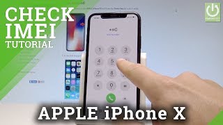 How to Check IMEI in iPhone X  All IMEI Methods  APPLE IMEI [upl. by Eleik]