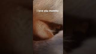 quotIlove you mommyquot [upl. by Sucramej]