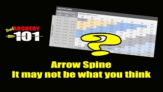 Arrow Spine It may not be what you think [upl. by Eelrebma519]