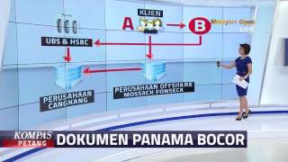 Apa itu Panama Papers [upl. by Assenev594]