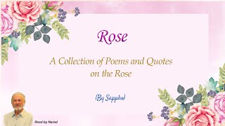 A Collection of Poems and Quotes on the Rose  By Sappho Read by Narad [upl. by Raybin]