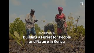 Building a Forest for People and Nature in Kenya  Documentary [upl. by Pollak]