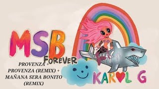 PROVENZA  PROVENZA REMIX  MAÑANA SERA BONITO REMIX  Karol G  Live Audio [upl. by Annatsirhc]