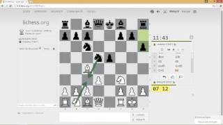 Echecs guide pratique de louverture pour les débutants [upl. by Greenberg]