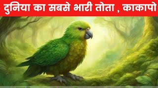 न उड़ने वाला दुनिया का सबसे भारी तोता  Kakapo Facts In Hindi [upl. by Annavoeg]