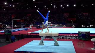 MACCHINI Carlo ITA  2019 Artistic Worlds Stuttgart GER  Qualifications Pommel Horse [upl. by Veronika]